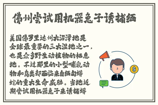 91香蕉国产亚洲一区二区三区